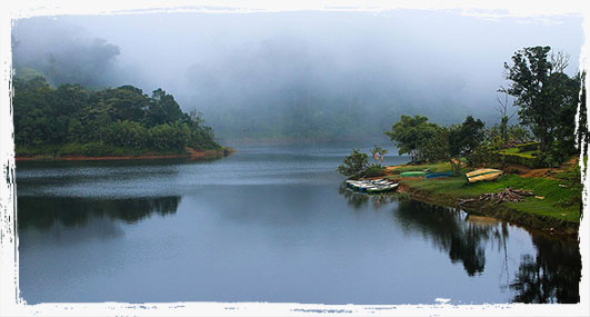 Places to visit in thekkady